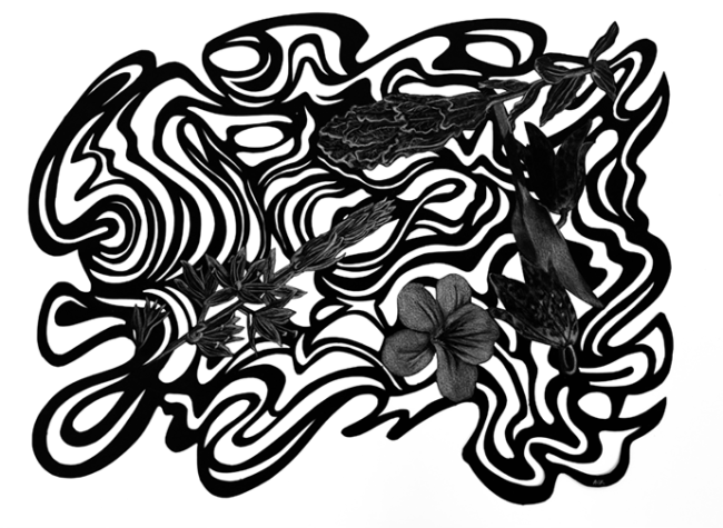 Buffeted Bouquet, 18” x 13” hand cut paper and colored pencil