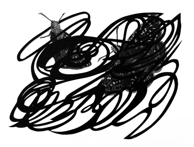 Flustered Dusky Winged Butterflies, hand cut paper and colored pencil, 17x15 in, 2025